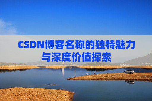 CSDN博客名称的独特魅力与深度价值探索